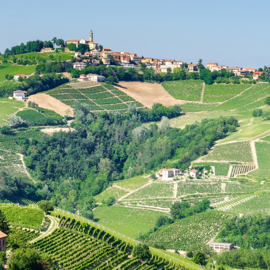 Opportunità di contributo per le imprese delle province  di Alessandria e Asti